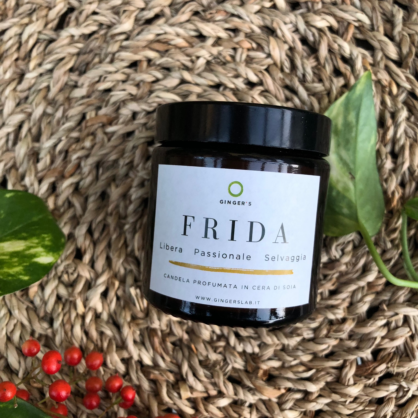 FRIDA